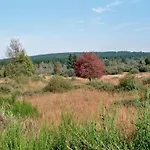 Sommerblick *
