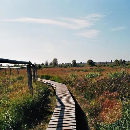 Sommerblick * Mutzenich (Aachen)