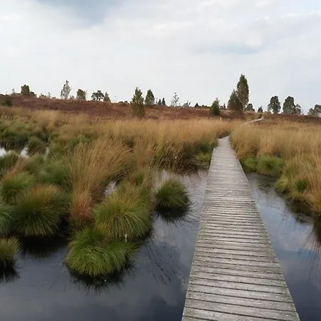 Lejlighed Sommerblick