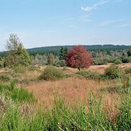 דירה Sommerblick מונשאו
