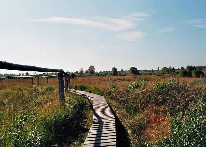 Sommerblick * Monschau
